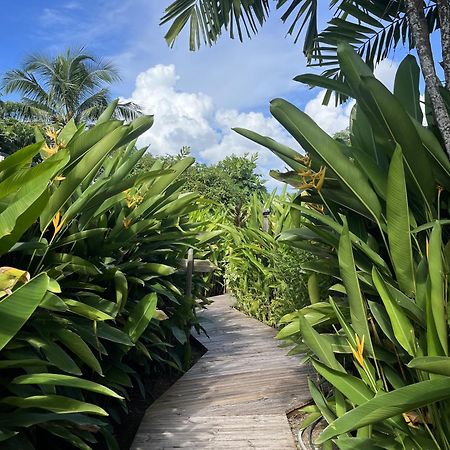 Eden Paradise Ecolodge & Spa Sainte-Luce Extérieur photo