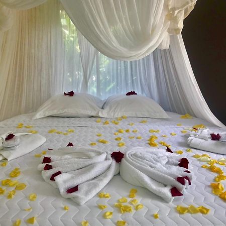 Eden Paradise Ecolodge & Spa Sainte-Luce Chambre photo