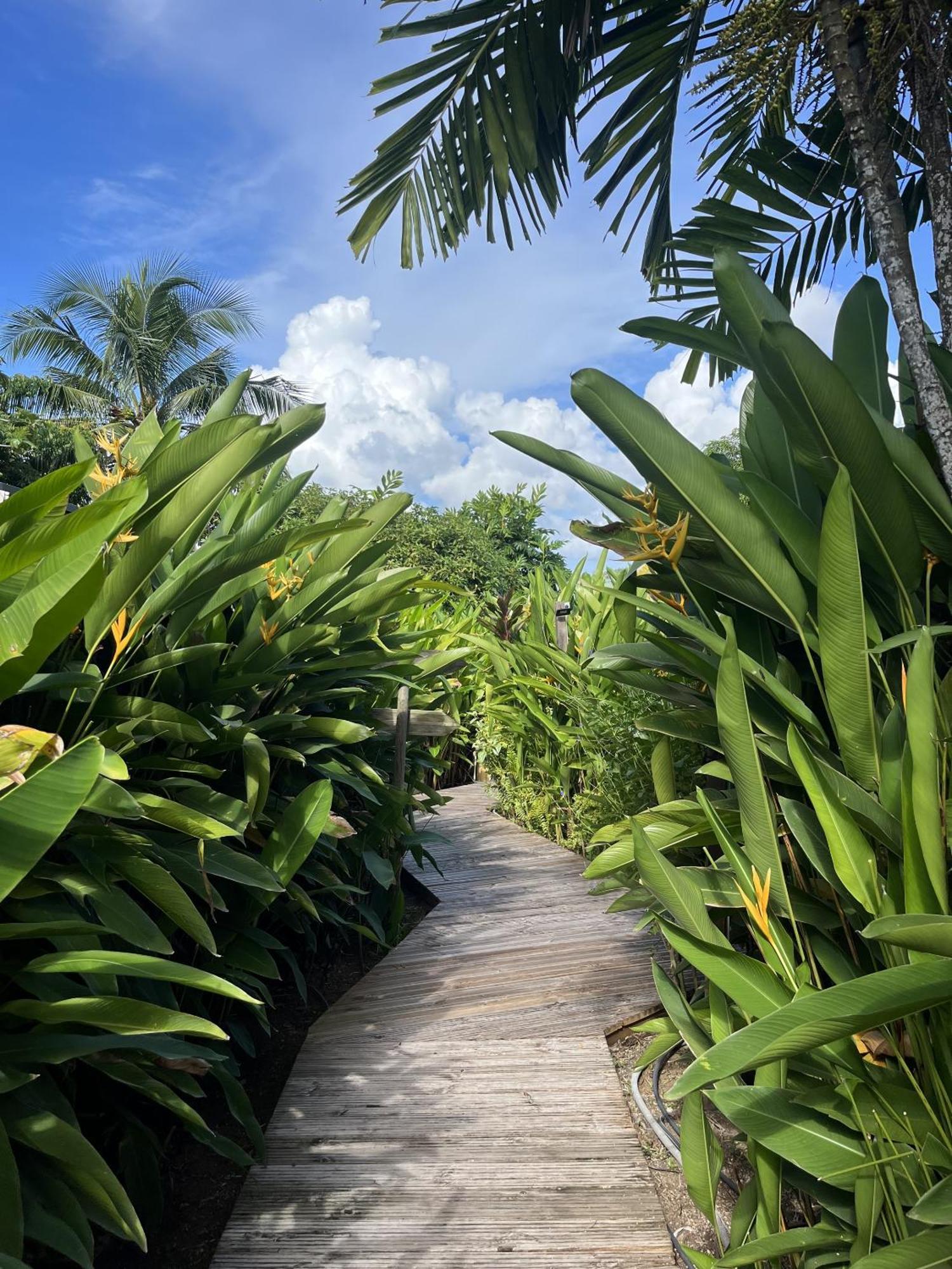 Eden Paradise Ecolodge & Spa Sainte-Luce Extérieur photo