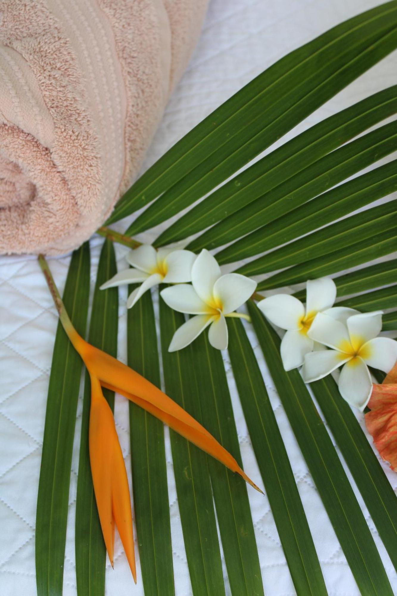Eden Paradise Ecolodge & Spa Sainte-Luce Chambre photo