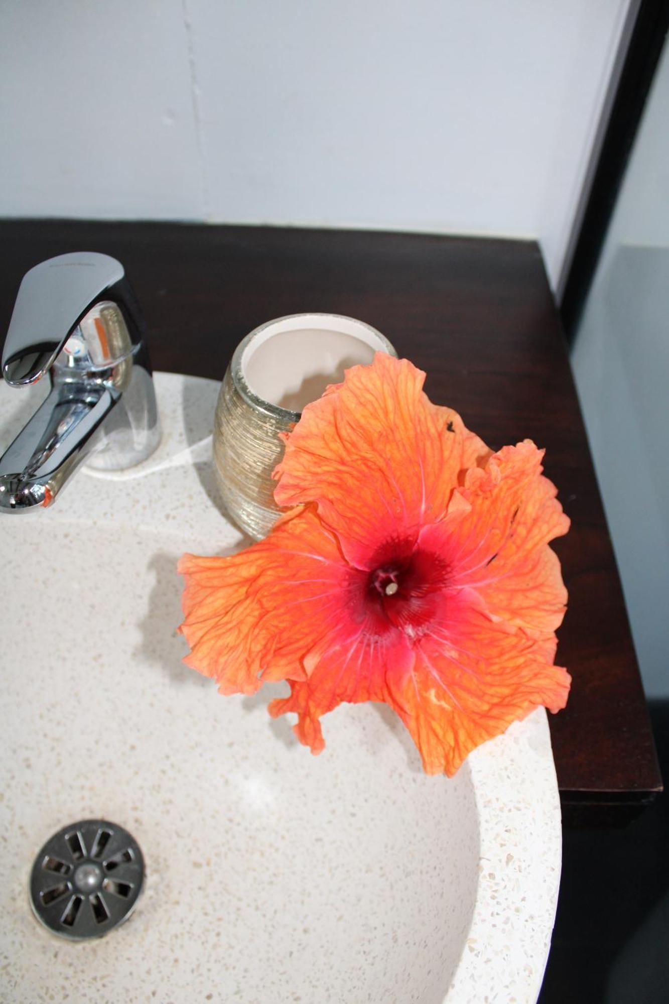 Eden Paradise Ecolodge & Spa Sainte-Luce Chambre photo