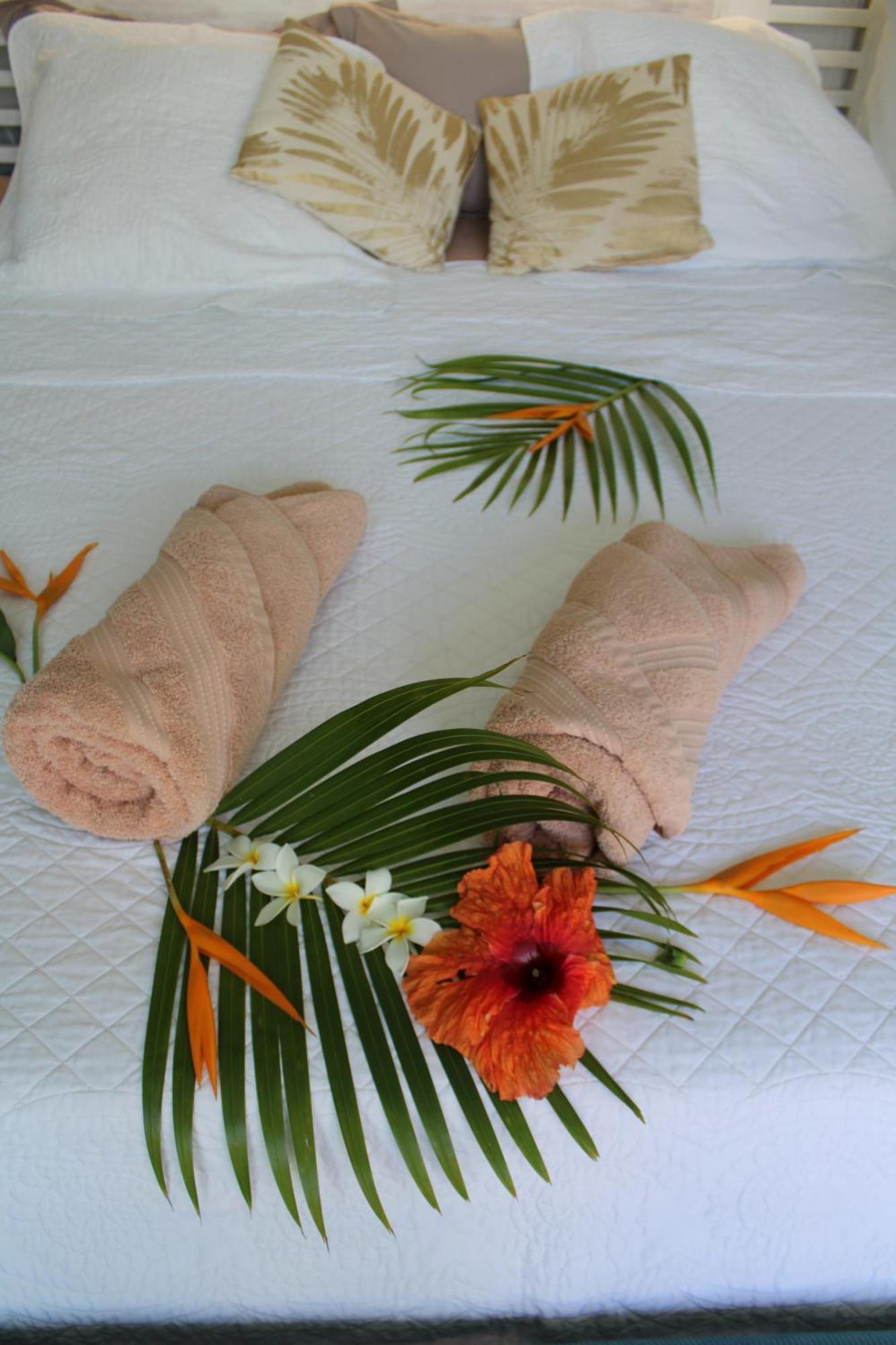 Eden Paradise Ecolodge & Spa Sainte-Luce Chambre photo